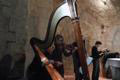 Meit - Concerto cerimonia
